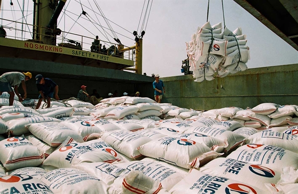 Xuất khẩu gạo của khối ASEAN.