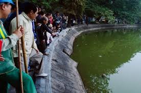 Dân chúng vây quanh Hồ Gươm nhìn xác cụ Rùa lần cuối.