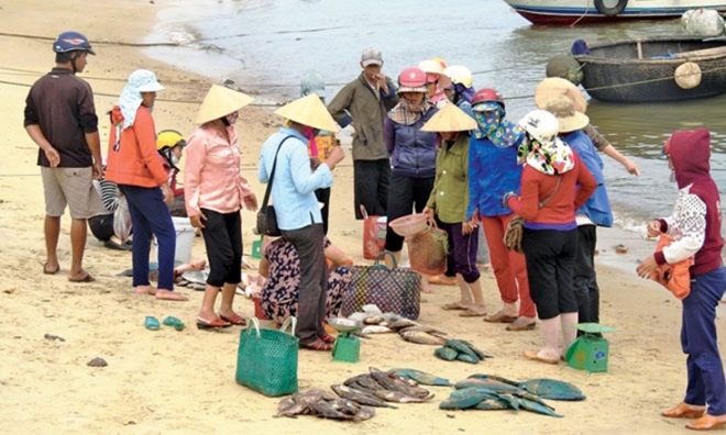 Ngư dân xã Thanh Trạch vớt cá chết bán cho thương lái. Ảnh: saostar.vn 