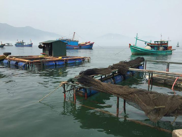 Bè cá bị chết sạch tại xã Kỳ Lợi. Ảnh: thuysanvietnam.com