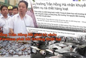 Đã có hơn 3000 chữ ký đòi Bộ trưởng TN&MT Trần Hồng Hà từ chức và Formosa phải bồi thường thiệt hại trong vụ xả độc gây ô nhiễm làm cá chết.