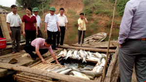 Ông Nguyễn Đức Quyền (thứ tư từ trái sang), Phó Chủ tịch UBND tỉnh Thanh Hóa, cùng các đoàn kiểm tra của tỉnh trực tiếp kiểm tra nguyên nhân cá chết trắng hàng loạt. Ảnh: Huy