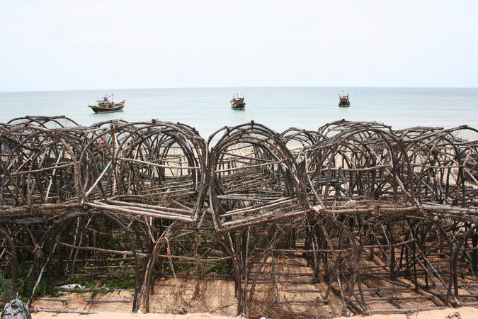 Một dàn bẫy bắt mực trên bãi biển Nhân Trạch, Quảng Bình, tháng 5/2016. Khi bầy mực bị giết gần hết thì bẫy mực vô dụng. 