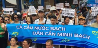 biểu tình vì môi trường sạch và đòi nhà cầm quyền minh bạch trong vụ cá chết.