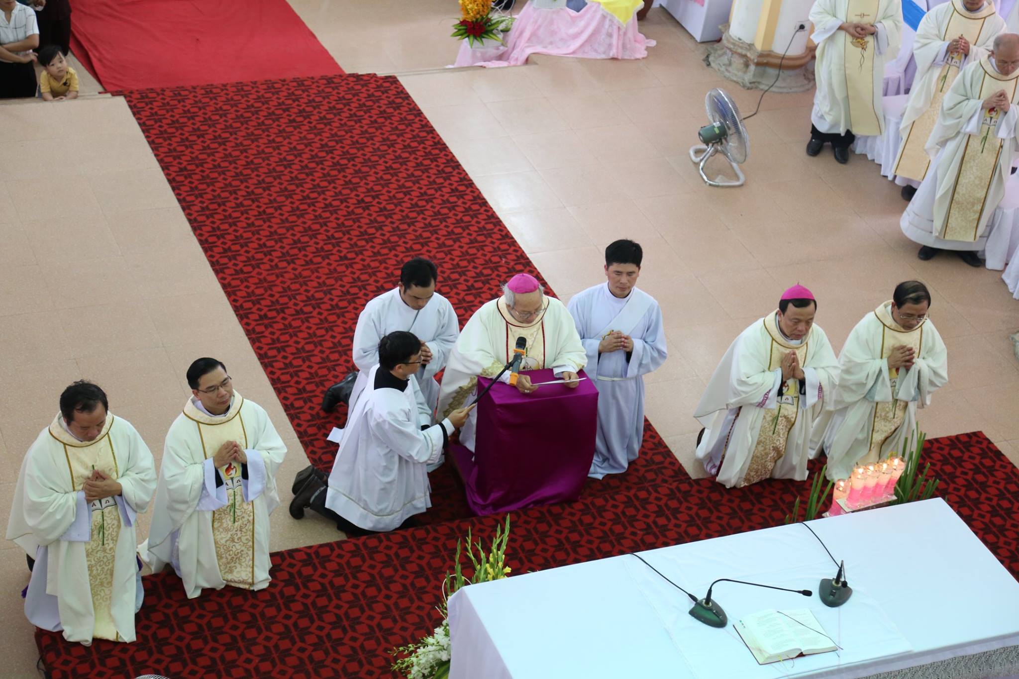 Đức Cha Nguyễn Thái Hợp trong Thánh Lễ sáng ngày 15 Tháng 8, 2016 tại nhà thờ Chính Tòa Xã Đoài.