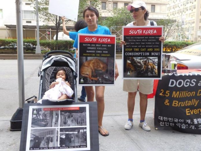 Phản đối ăn thịt chó ở Hàn Quốc