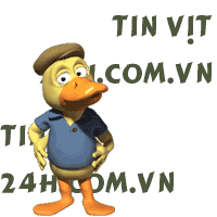 tin-vit