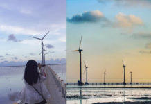 Nhà máy điện gió Bạc Liêu với công suất hơn 99MW với 62 trụ turbine tại khu vực bãi bồi ven biển Vĩnh Trạch Đông, thành phố Bạc Liêu, tỉnh Bạc Liêu. Ảnh: VNTB