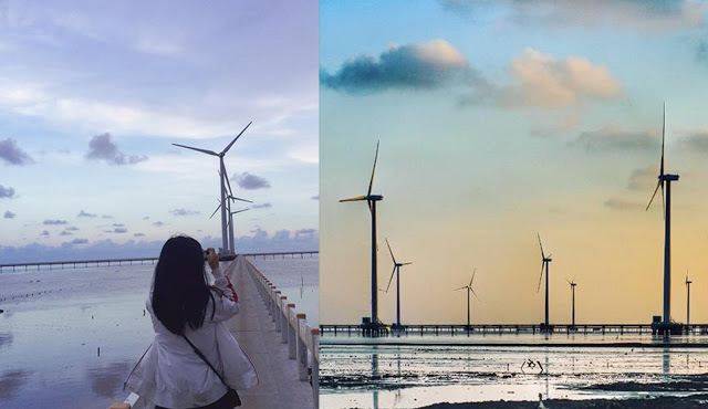 Nhà máy điện gió Bạc Liêu với công suất hơn 99MW với 62 trụ turbine tại khu vực bãi bồi ven biển Vĩnh Trạch Đông, thành phố Bạc Liêu, tỉnh Bạc Liêu. Ảnh: VNTB