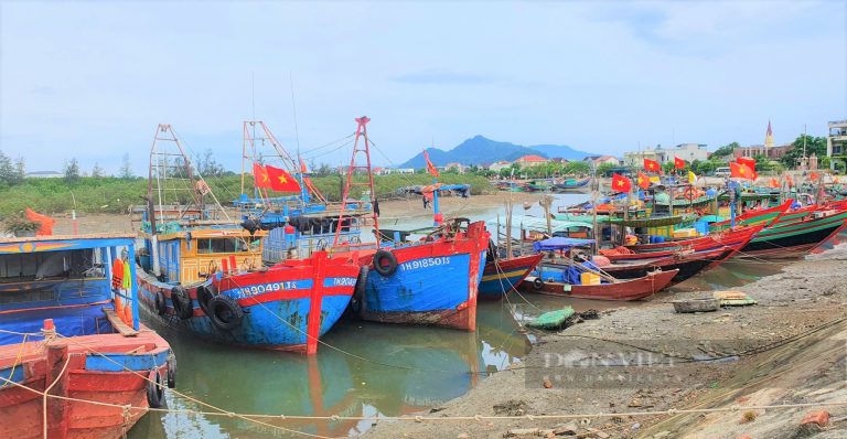 Biển vẫn là của ta nhưng tàu của ta chỉ có thể… bám bờ
