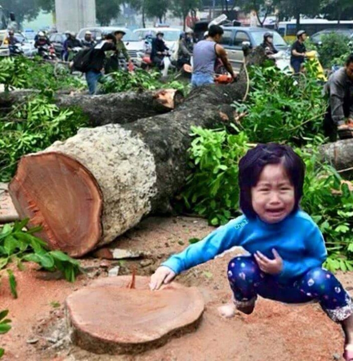 Khi lãnh đạo thành phố, Là một lũ điên khùng.