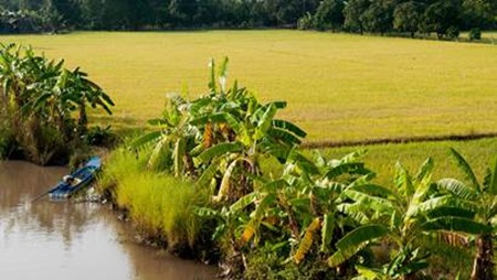 Hoành hành của Trung Quốc: Liệu sông Mekong có trở thành Biển Đông?