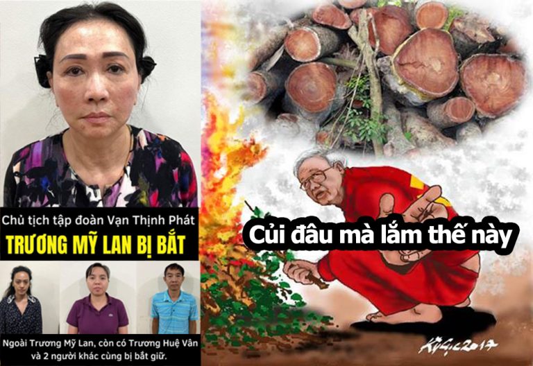 Củi đang cháy lớn ở thành Hồ