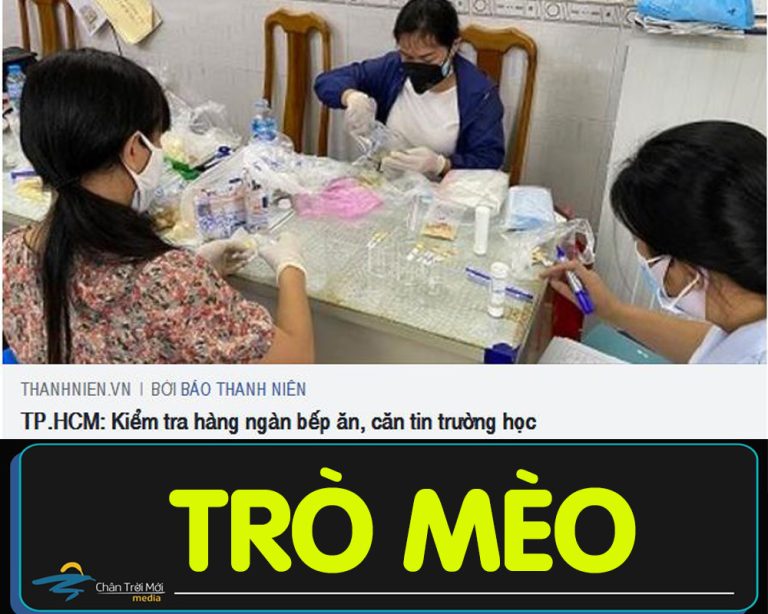 Trò mèo