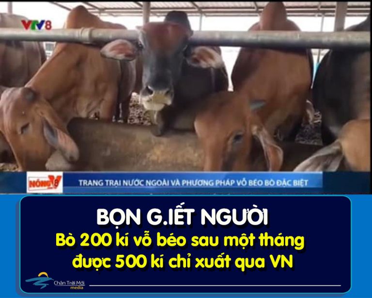 Bọn g.iết người