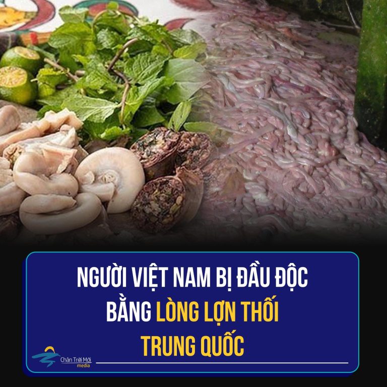 Người Trung quốc đầu độc lòng lợn thối