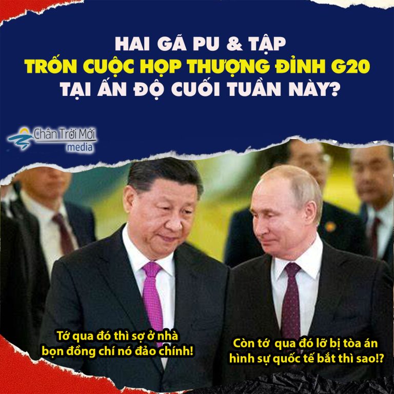 Hai gã nào trốn ăn cà ry trong cuộc họp thượng đỉnh G20 tại Ấn Độ cuối tuần này?