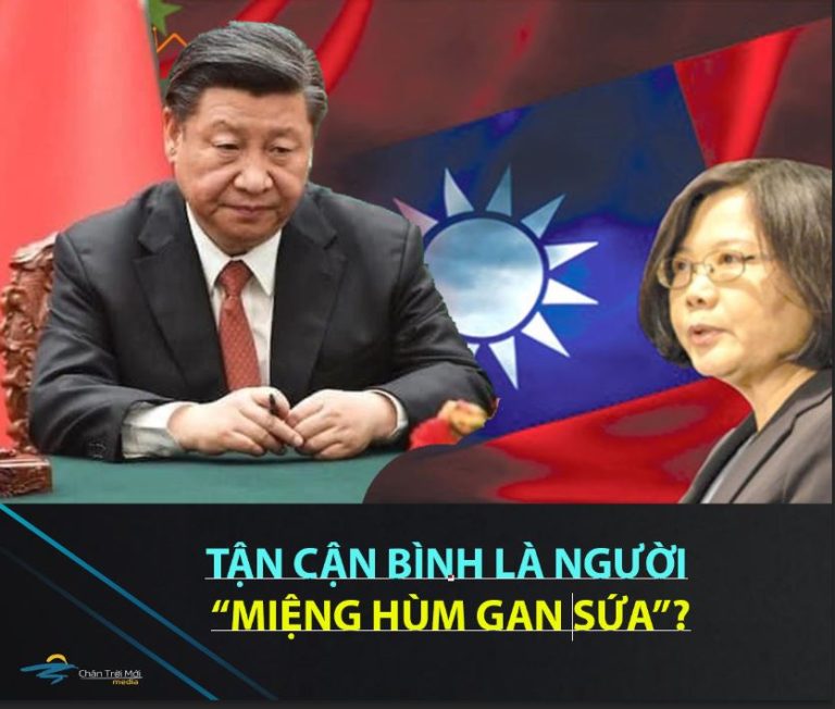 Tận Cận Bình là con thỏ đế?