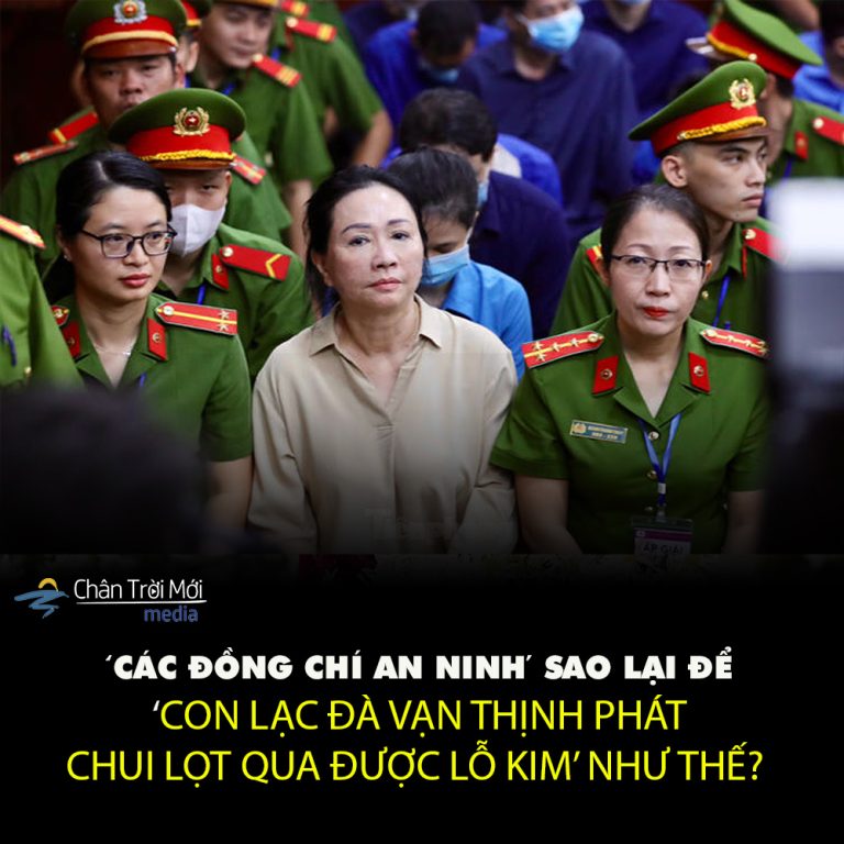 Tại sao ‘con lạc đà Vạn Thịnh Phát chui qua được lỗ kim’ như thế?
